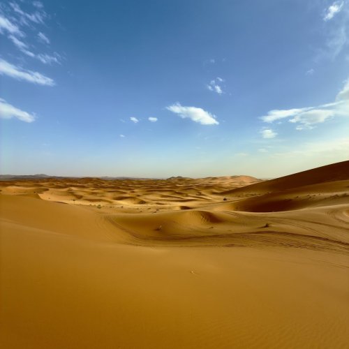 Sahara desert (Merzouga)