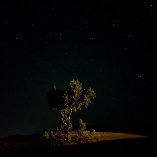 Night sky in Sahara desert